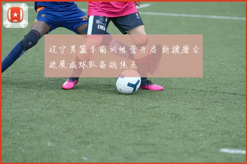 辽宁男篮季前训练营开启 新援磨合进展成球队备战焦点