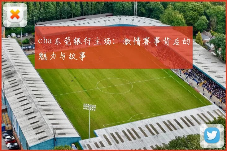 cba东莞银行主场：激情赛事背后的魅力与故事