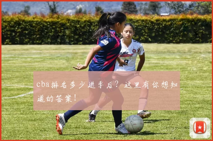 cba排名多少进季后？这里有你想知道的答案！