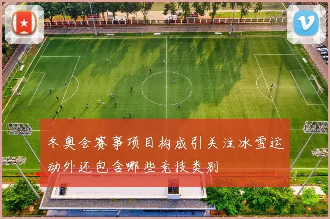 冬奥会赛事项目构成引关注冰雪运动外还包含哪些竞技类别